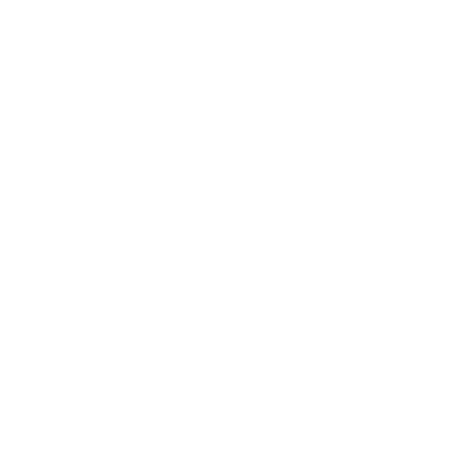 4G Support Icon