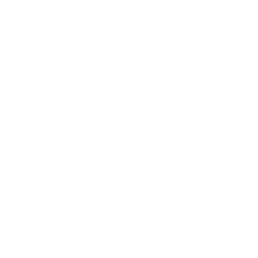 Security Icon