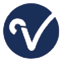 V2 logo